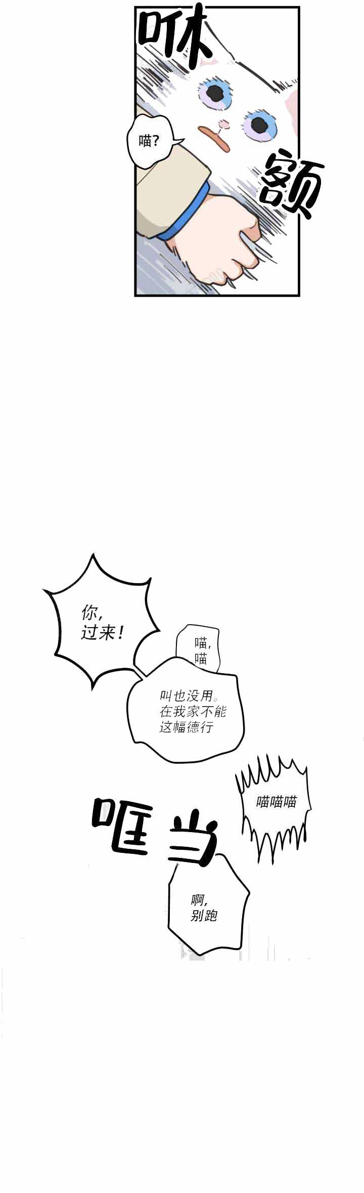 独一无二的猫猫漫画,第3话3图