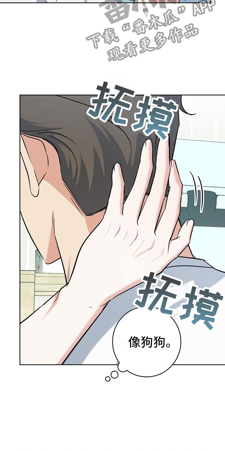 漫画温情之森漫画,第9话1图