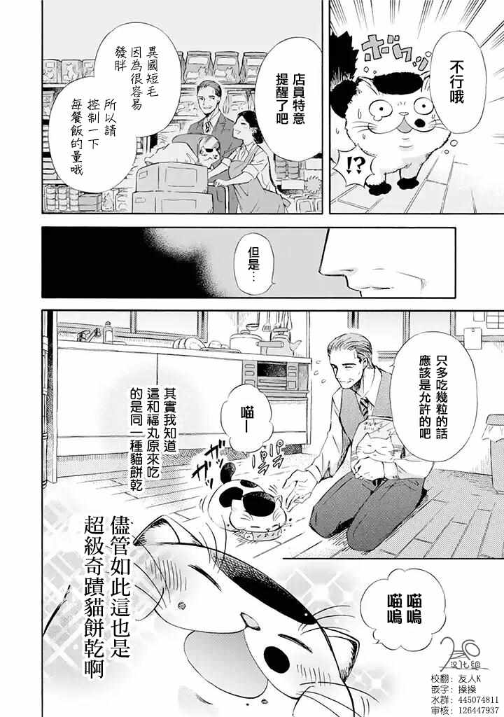 大叔与猫漫画,第5话4图