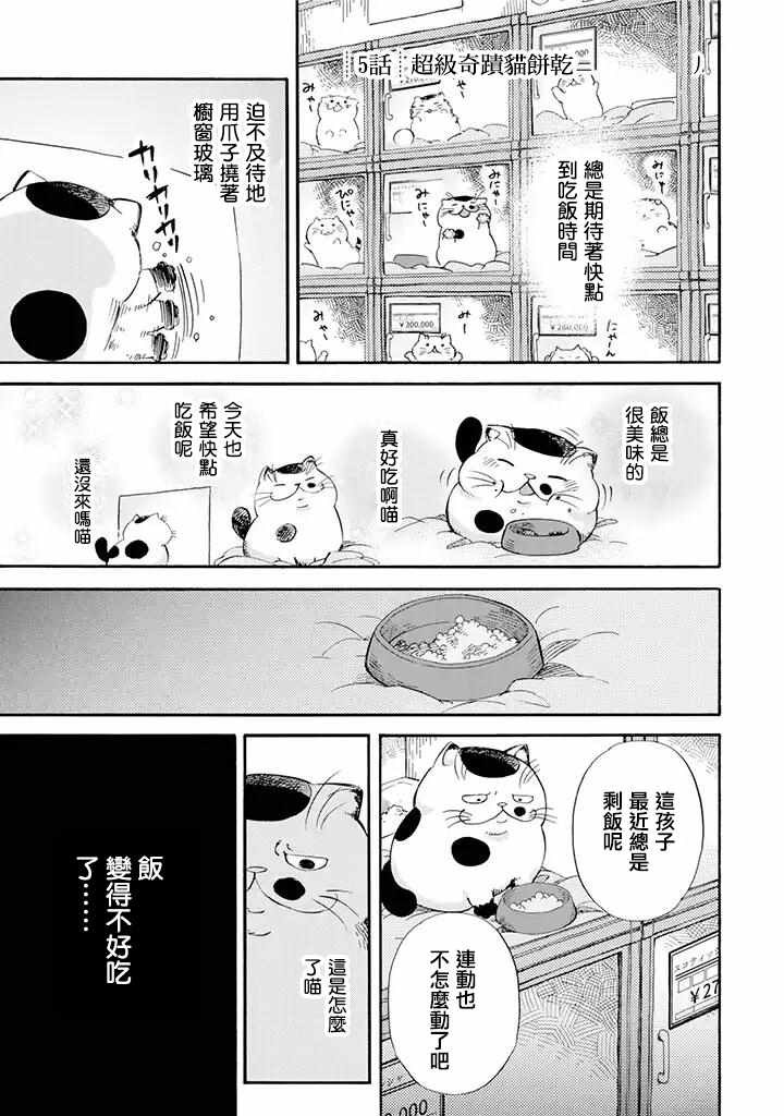 大叔与猫漫画,第5话1图