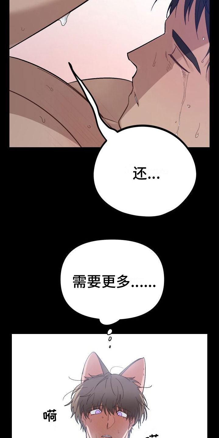 肉食与草食完结篇在哪里看漫画,第10话4图