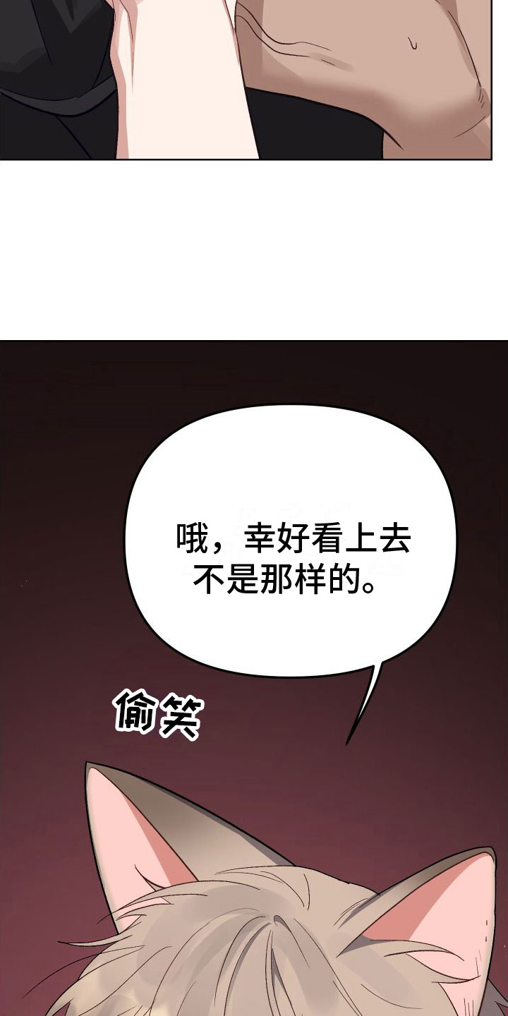 肉食与草食完结了吗漫画,第6话5图