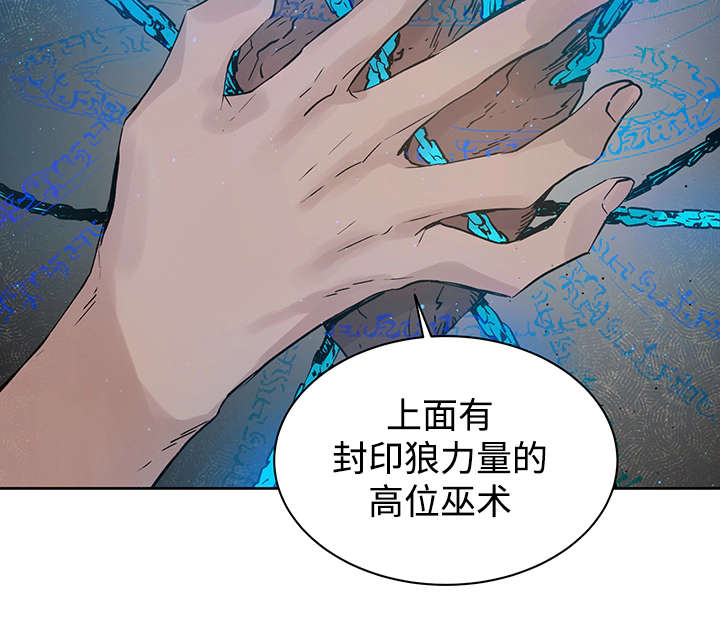 巫师与狼漫画,第8话2图