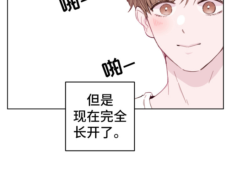 危险小舅子又叫什么漫画,第2话2图