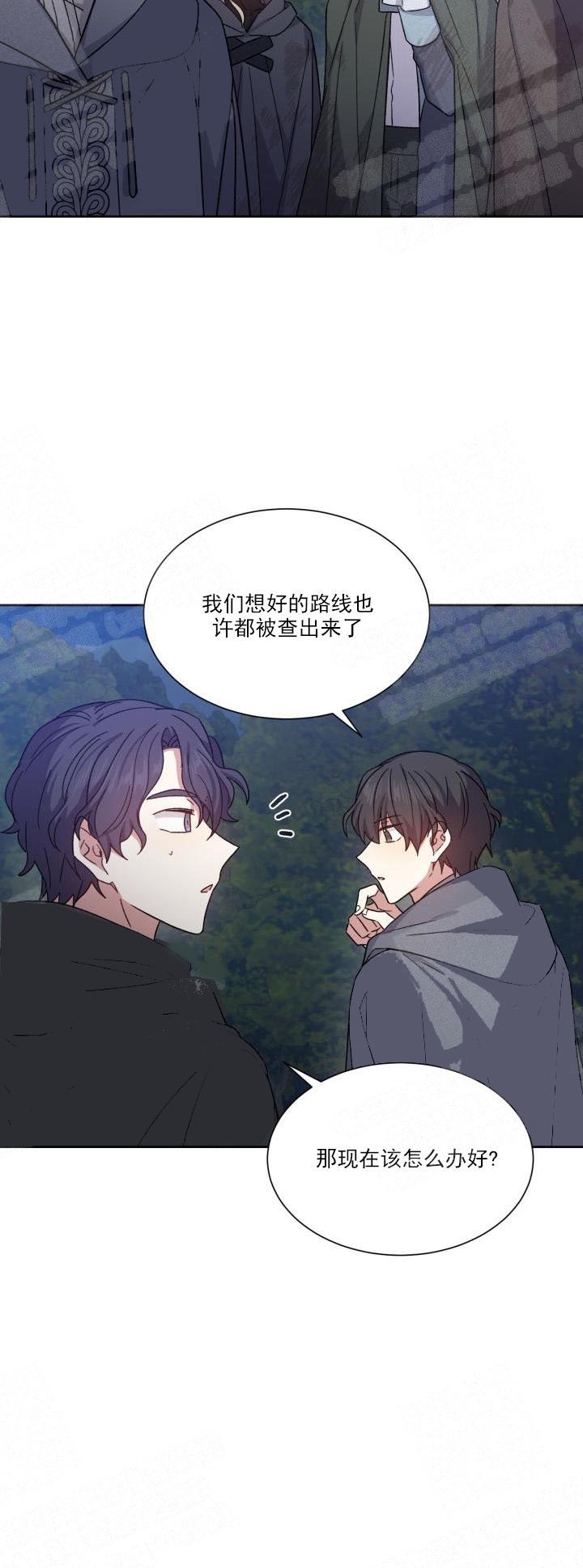 影子王冠小说免费阅读漫画,第12话4图