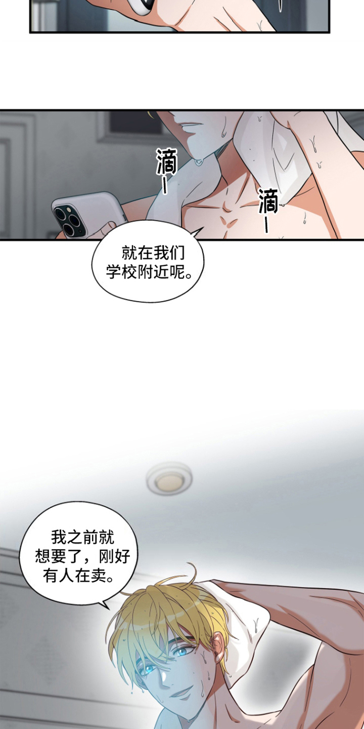 咖啡因是国家禁品吗漫画,第3话4图