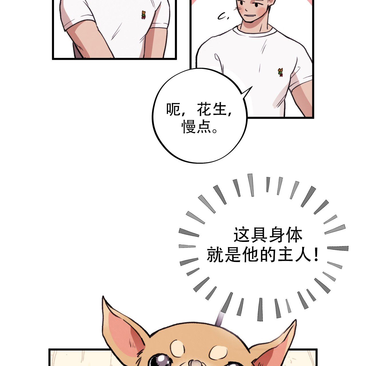 哈尼熊漫画,第1话1图