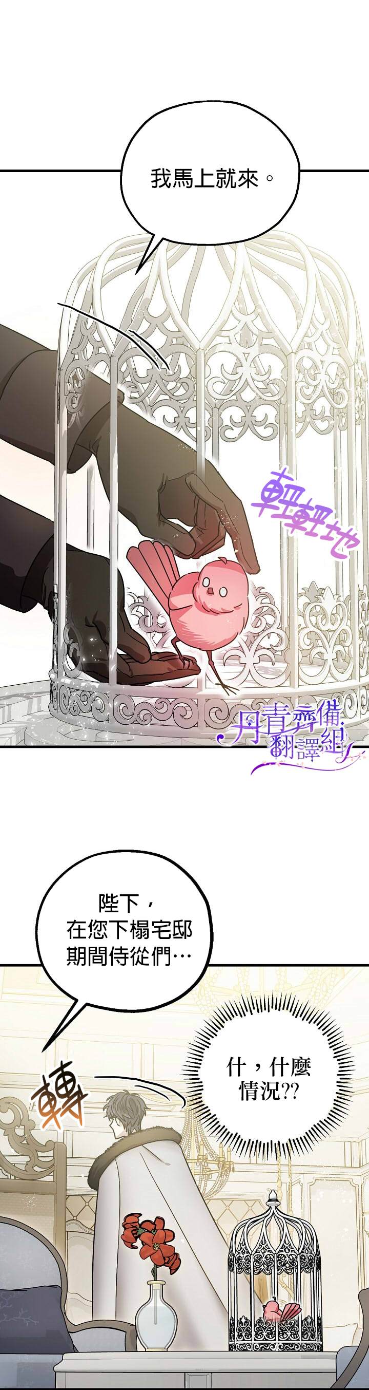 暴君的精神安定剂漫画,第5话4图