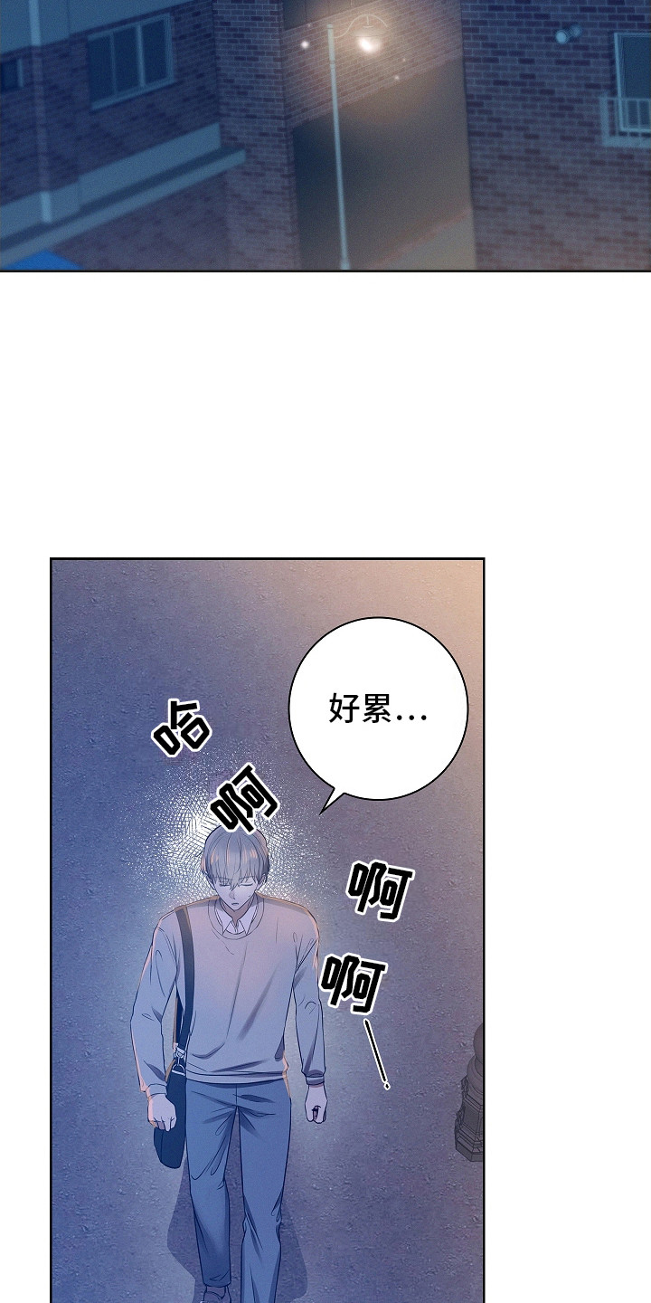 我的太子妃完整版漫画,第6话4图