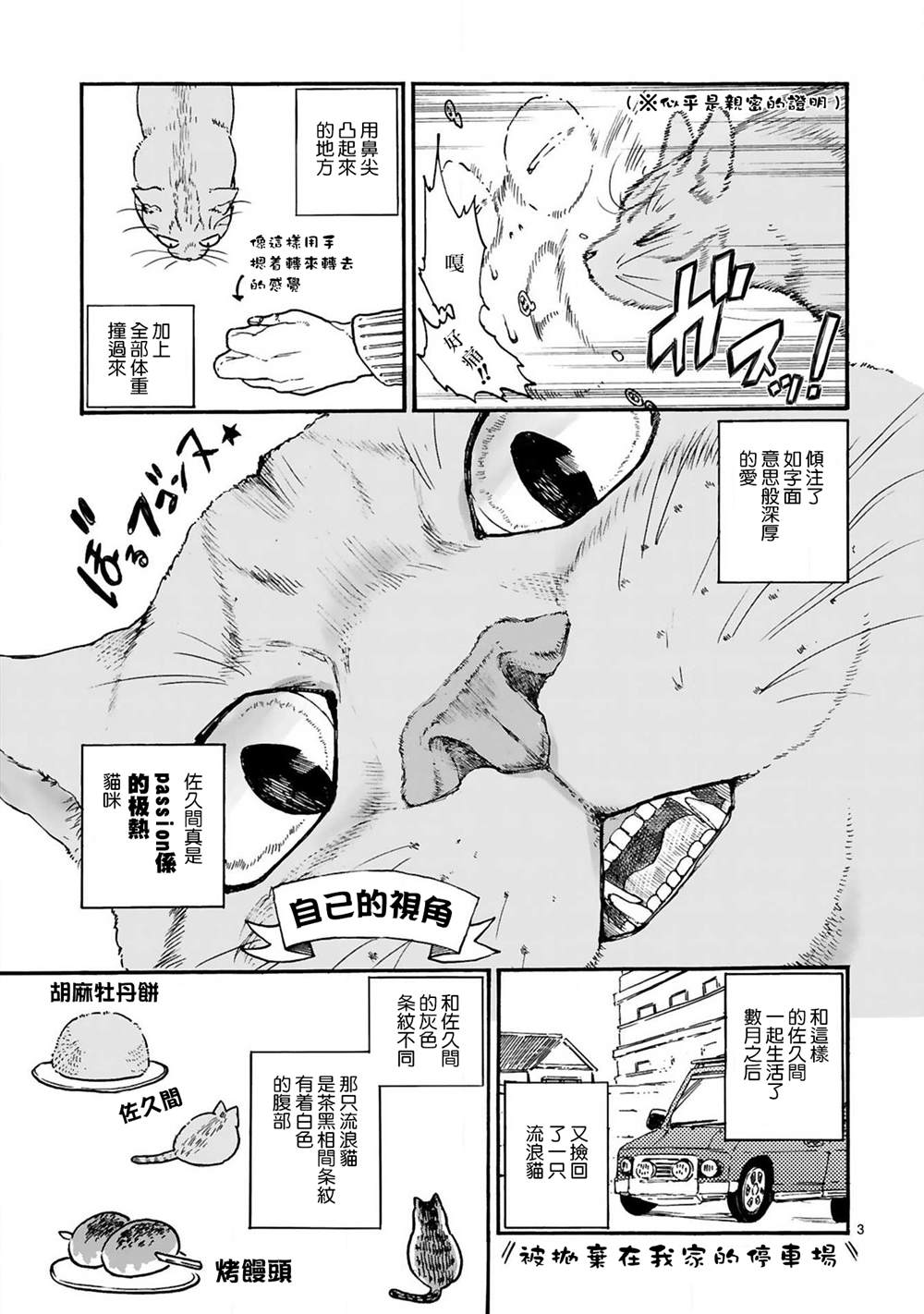 全世猫漫画,第2话4图