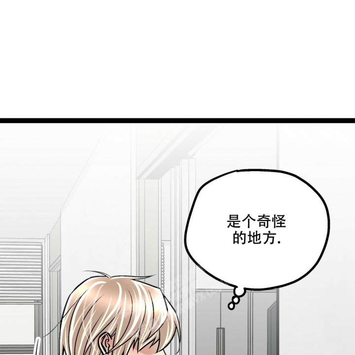 爱情疗法小说漫画,第8话1图