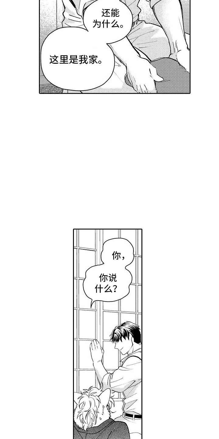 巧克力饼干热量高吗漫画,第2话5图