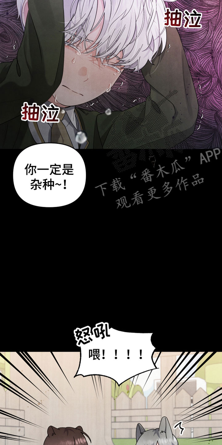 为什么接近眉心会有压迫感漫画,第7话5图