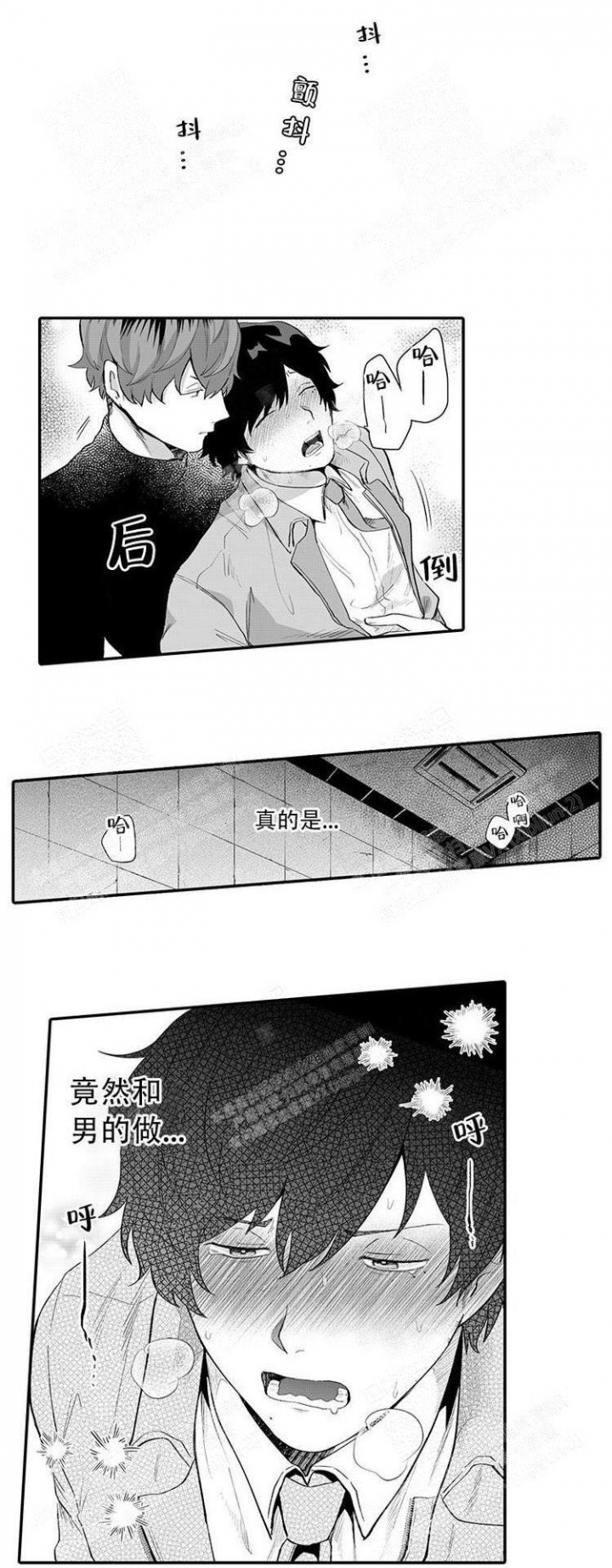 正山小种的味道和口感漫画,第4话5图