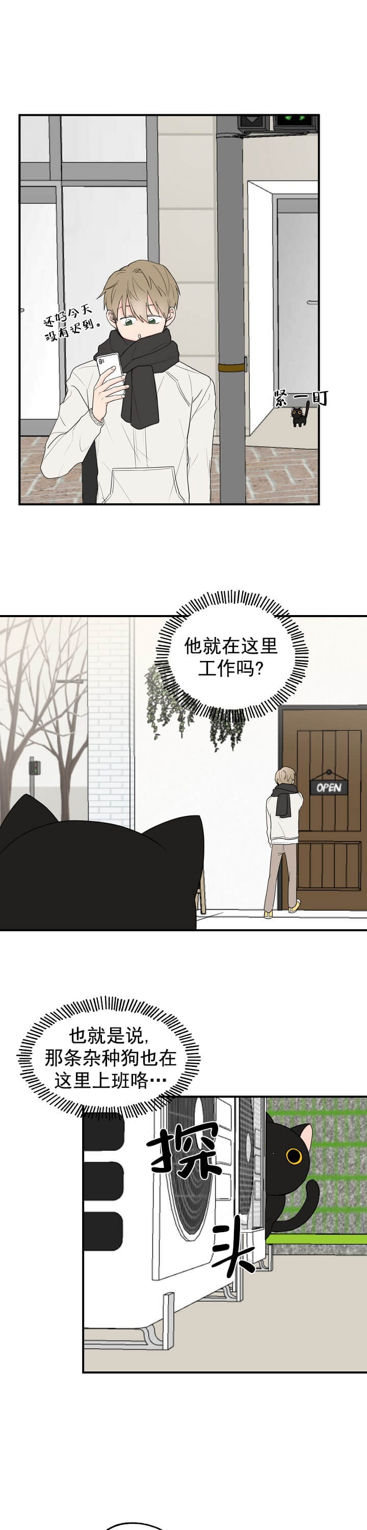 幸运从猫猫开始漫画,第4话3图