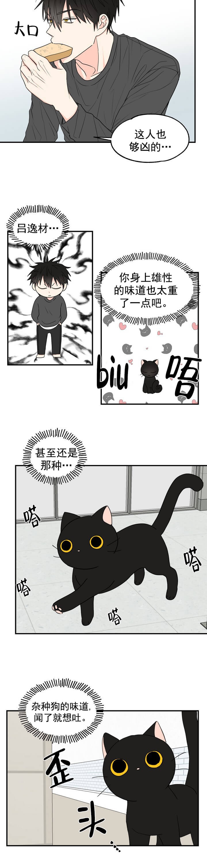 幸运从猫猫开始漫画,第4话2图