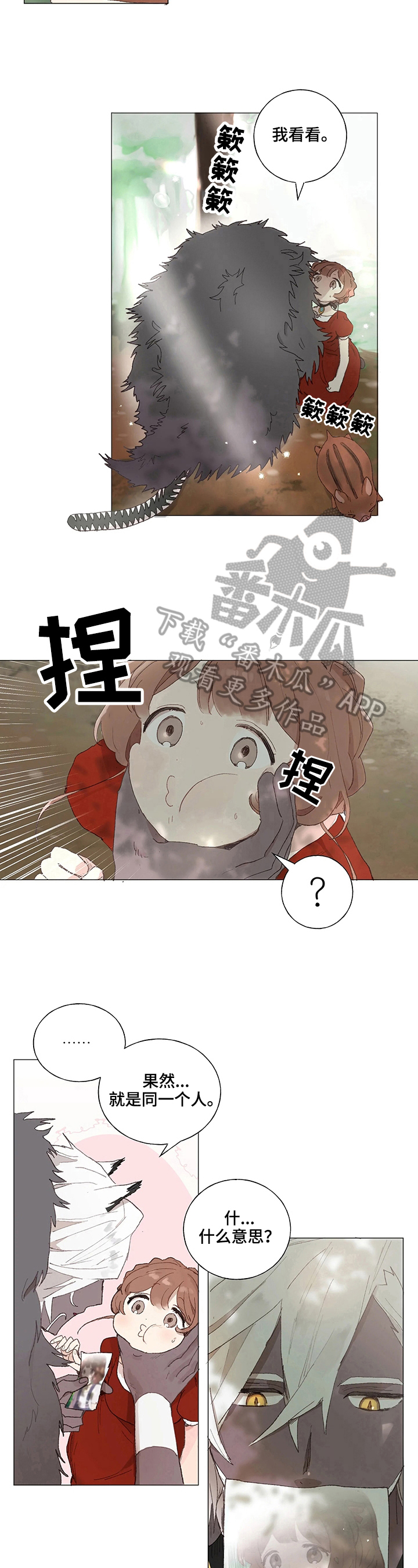 结婚备选人漫画,第5章：照片2图