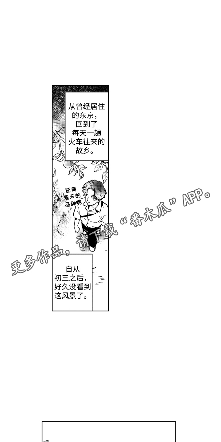 红苹果乐园女主漫画,第1话5图