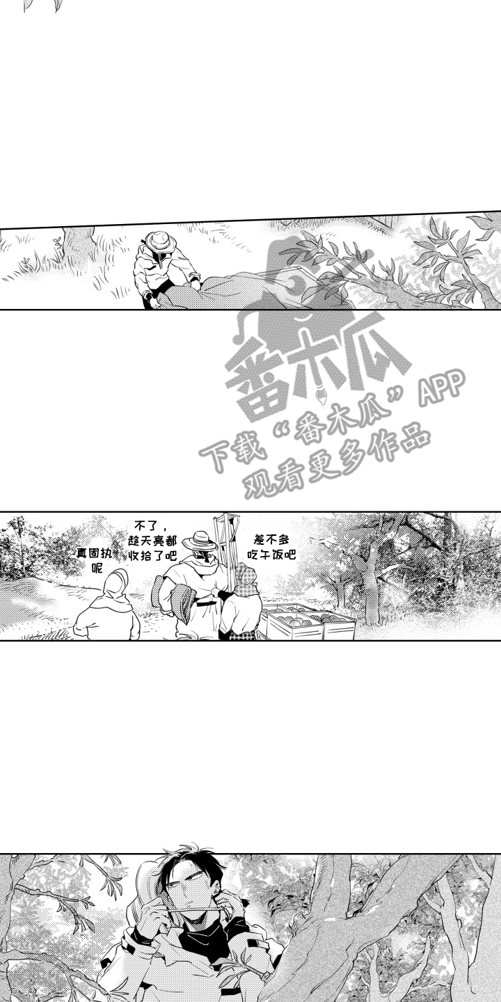 红苹果乐园主演现状都怎么样了漫画,第10话2图