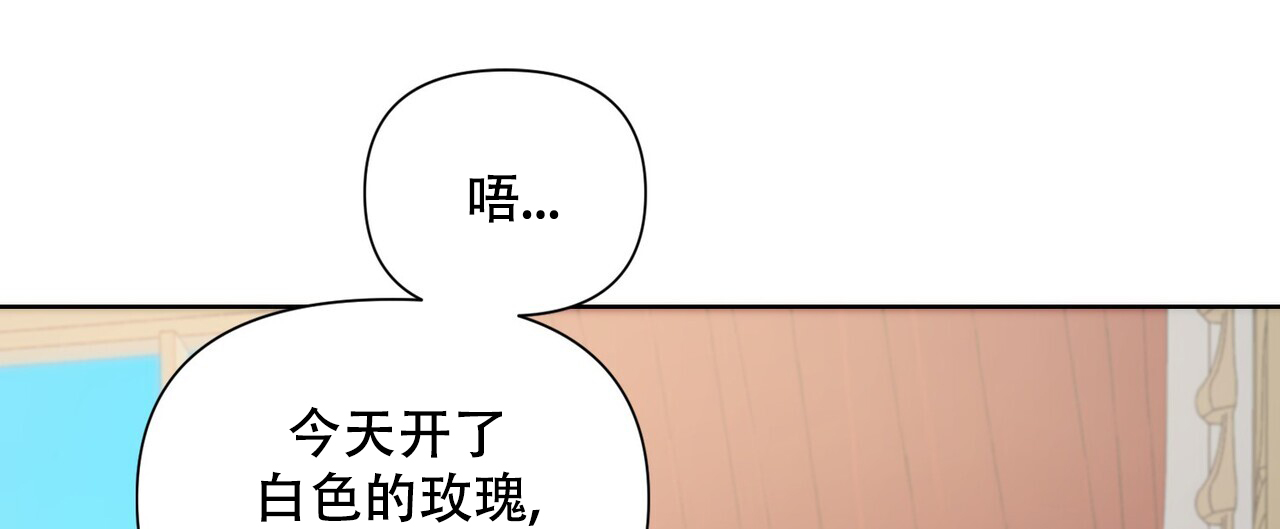 走进玫瑰园漫画,第3话3图