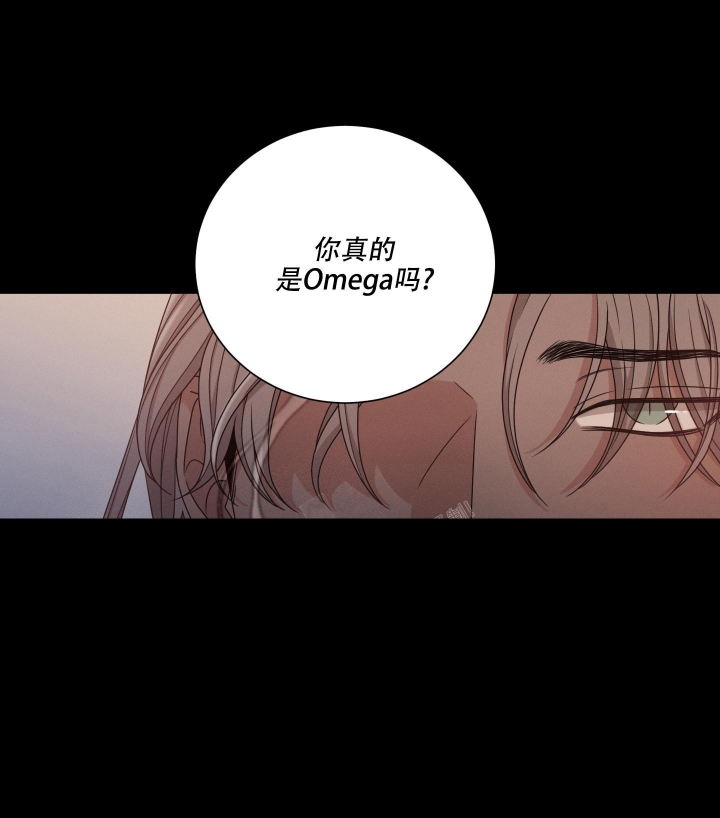 危险关系电影完整版免费观看漫画,第9话1图