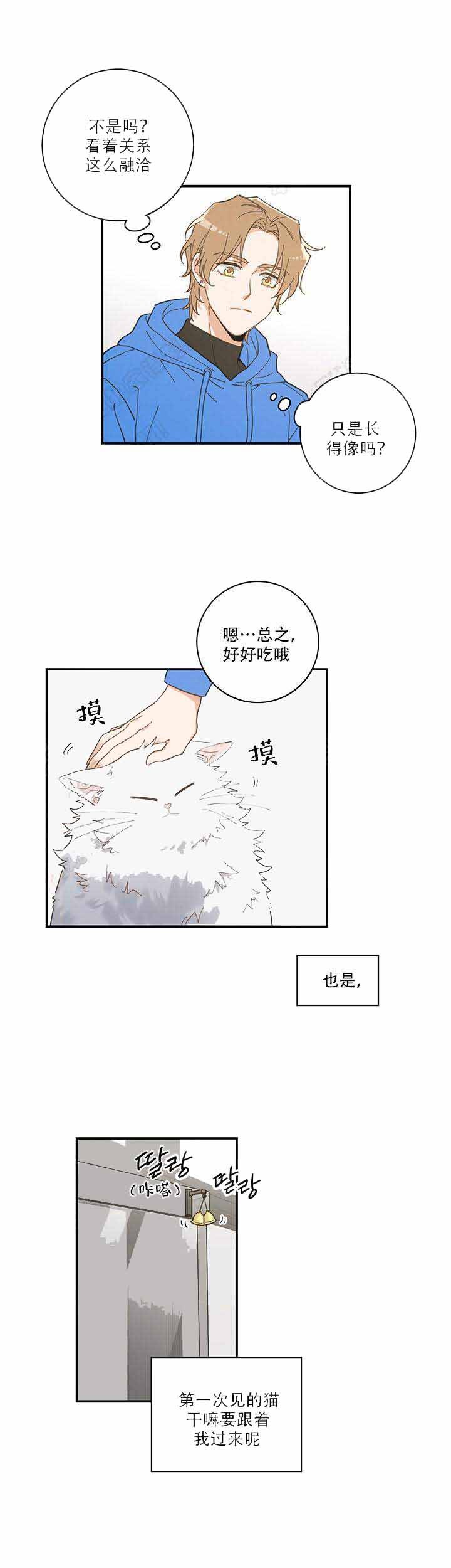 我唯一的猫猫漫画,第2话4图