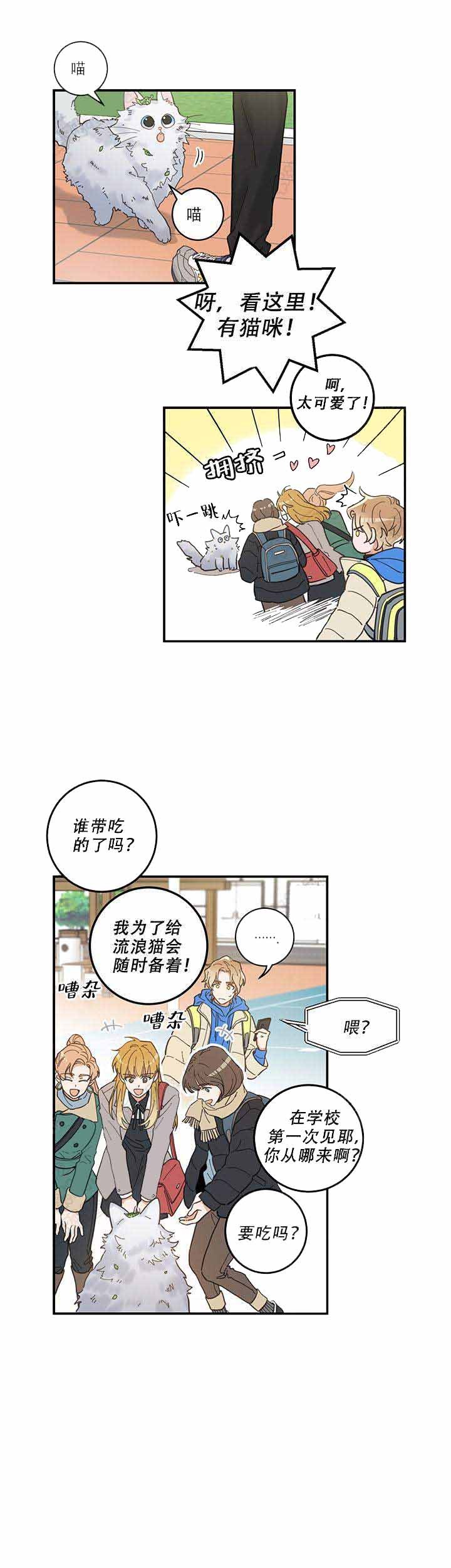 我唯一的猫猫漫画,第2话3图