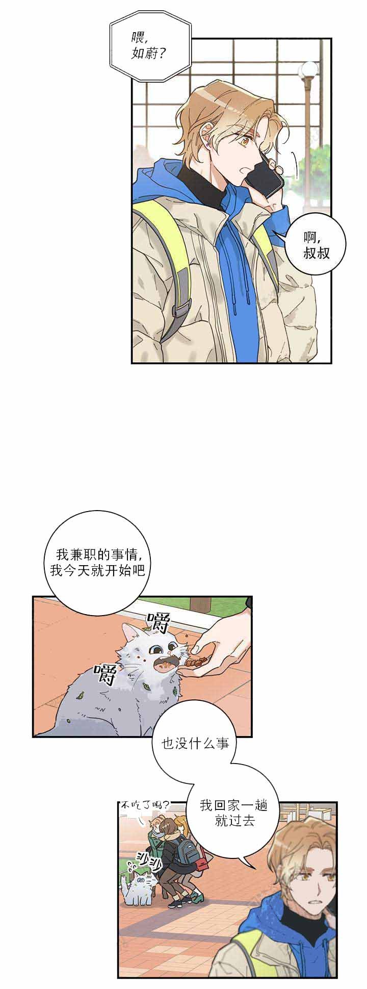 我唯一的猫猫漫画,第2话4图