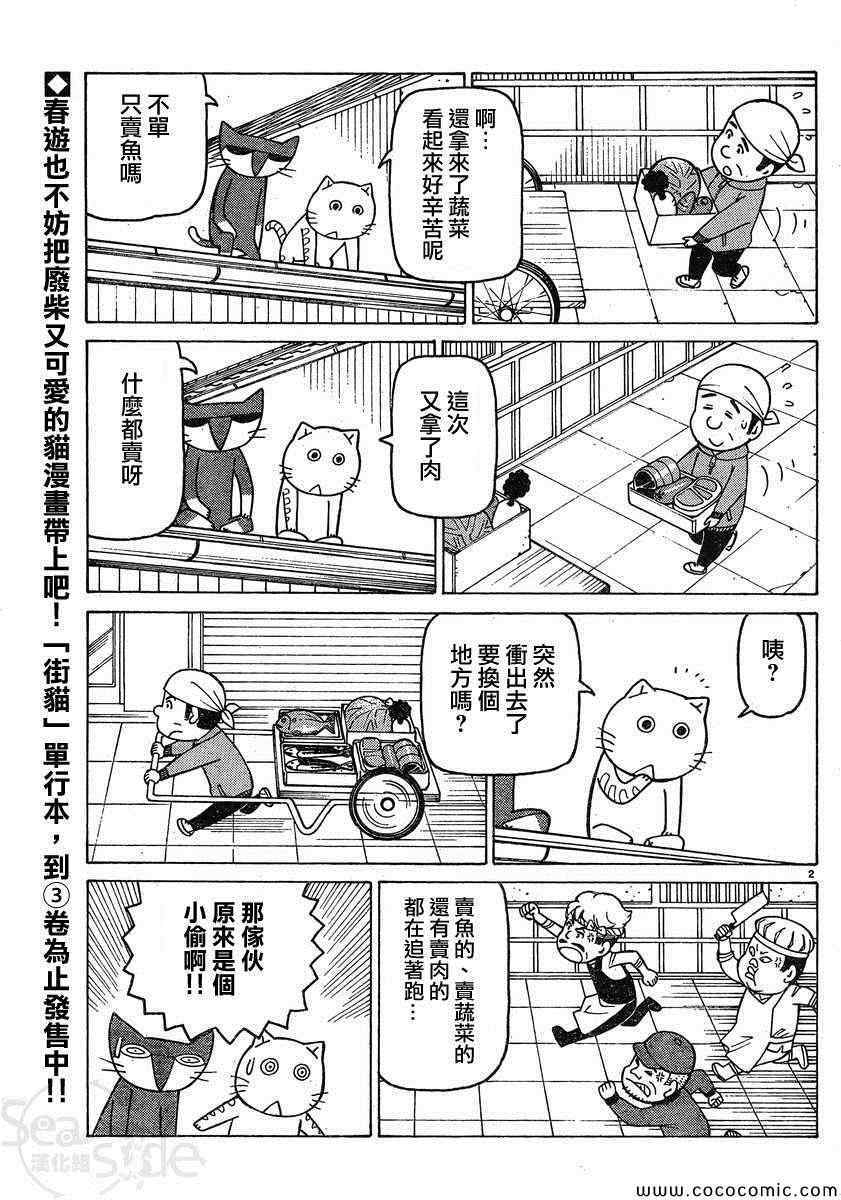 我家的街猫漫画,第24话2图