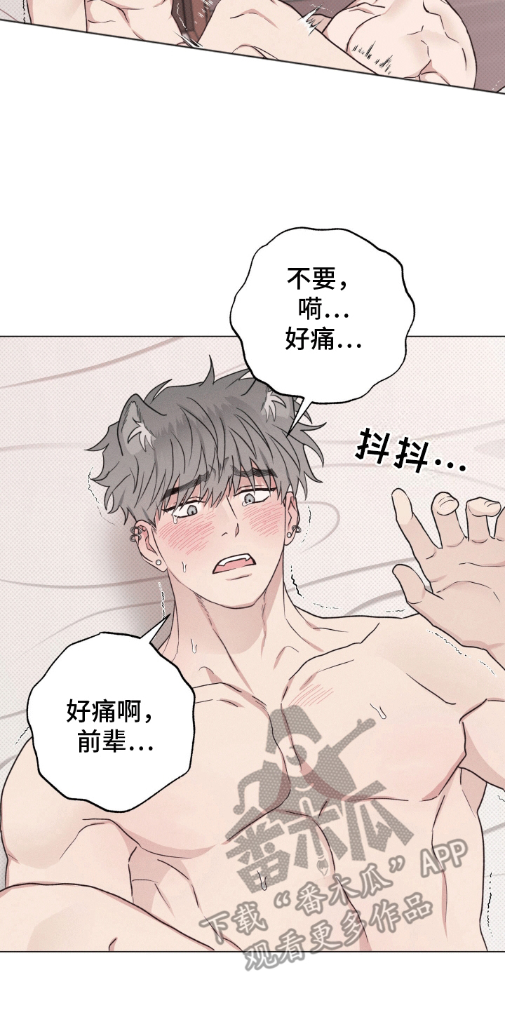 狼人驯服韩漫未删减漫画,第7话1图