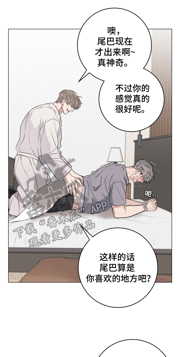 狼人驯服韩漫未删减漫画,第6话3图