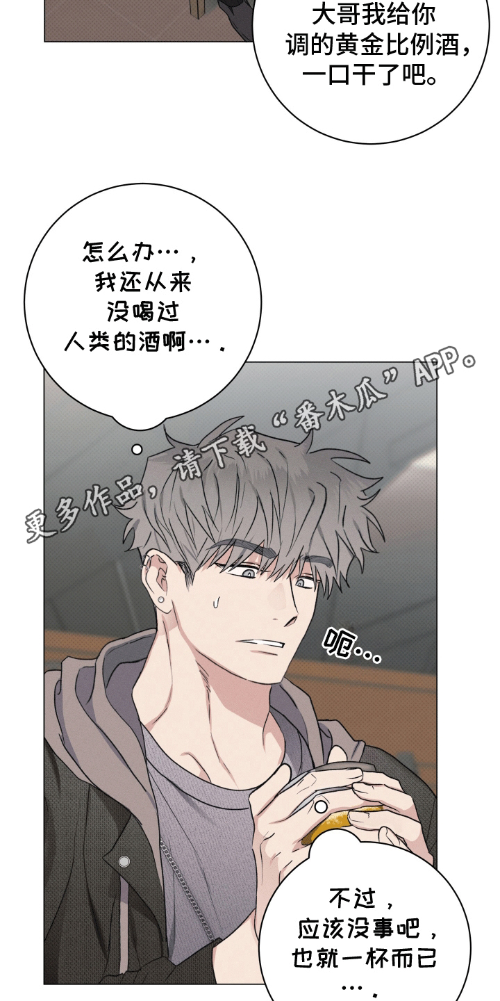 狼人驯熊师的技能漫画,第1话3图