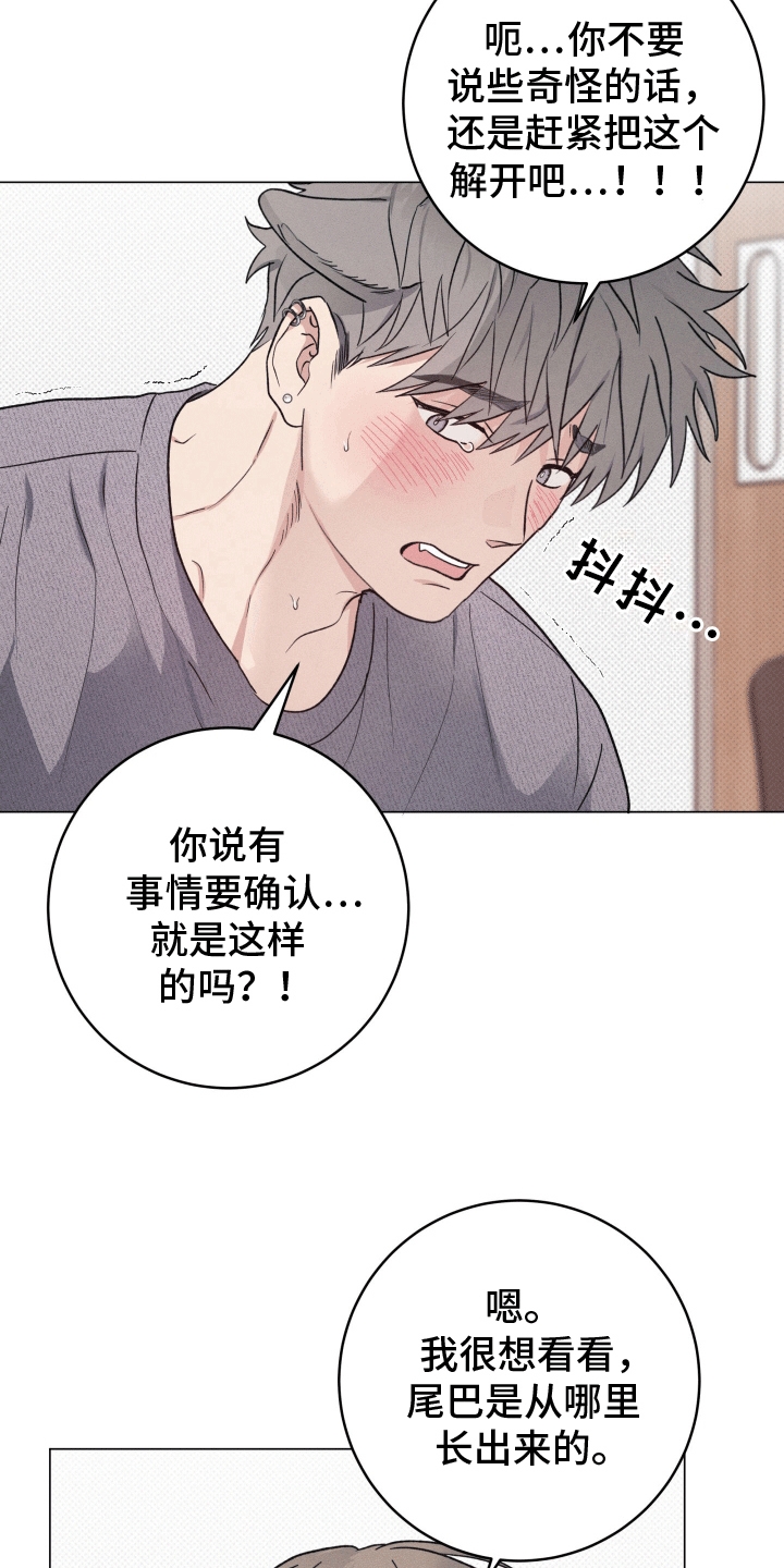 狼人驯服韩漫未删减漫画,第6话4图