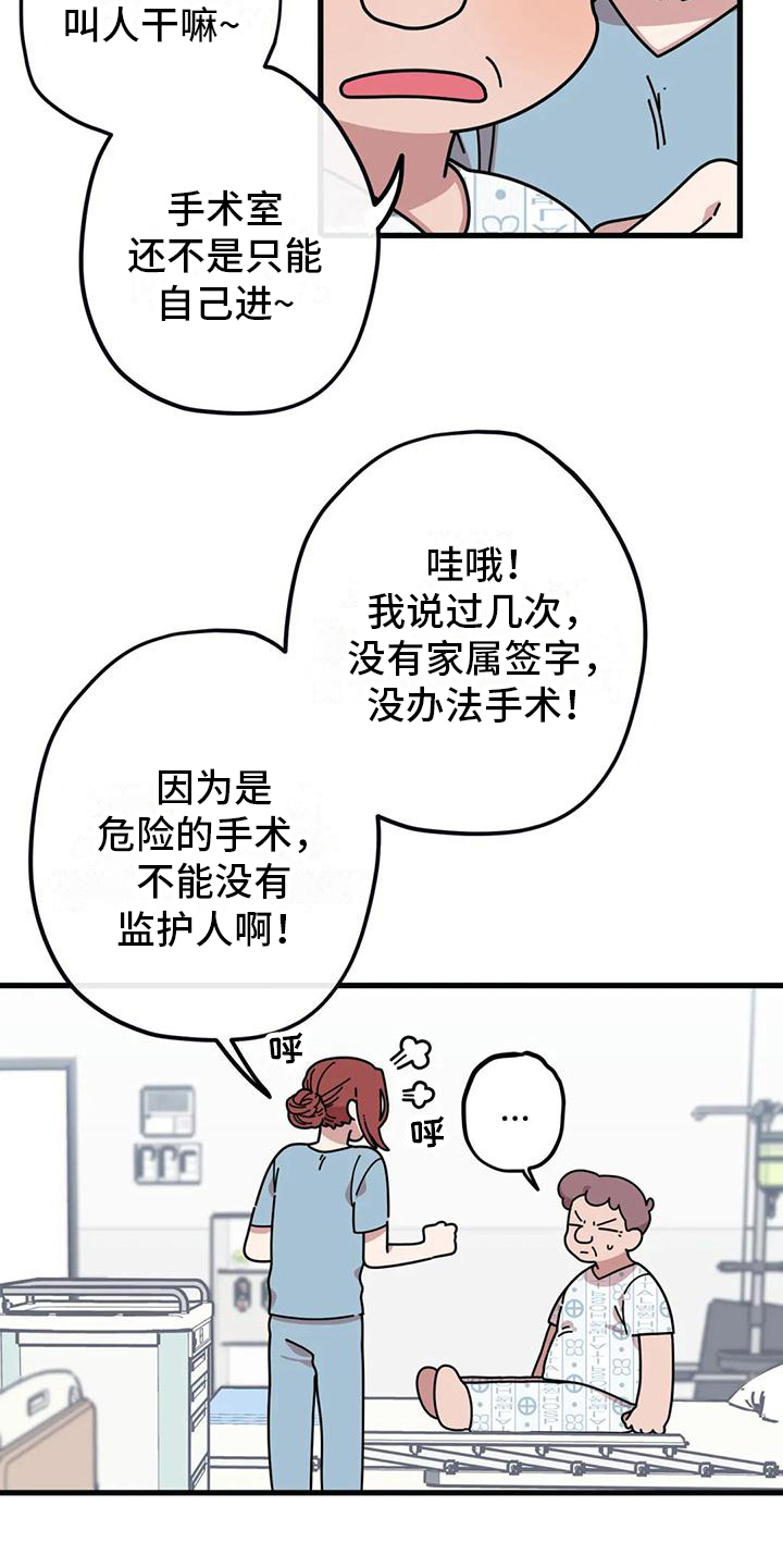 温馨小熊漫画,第5话2图