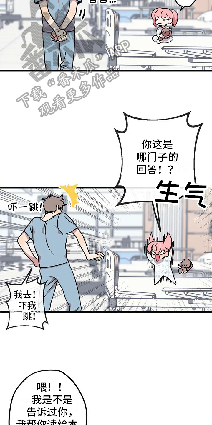 温馨小熊头像漫画,第4话1图