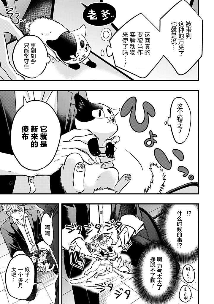 被遗弃的小猫咪与原黑道漫画,第5话3图