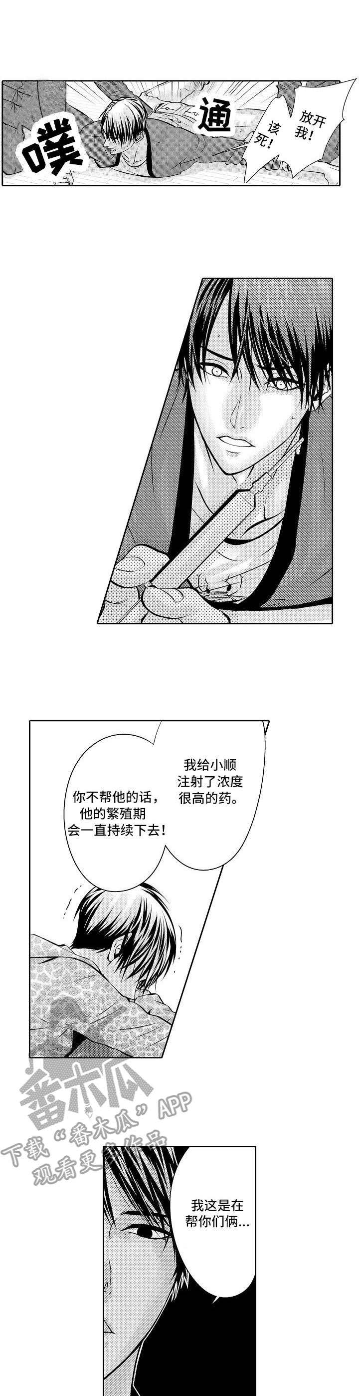 金三角友谊漫画,第6章：药物2图