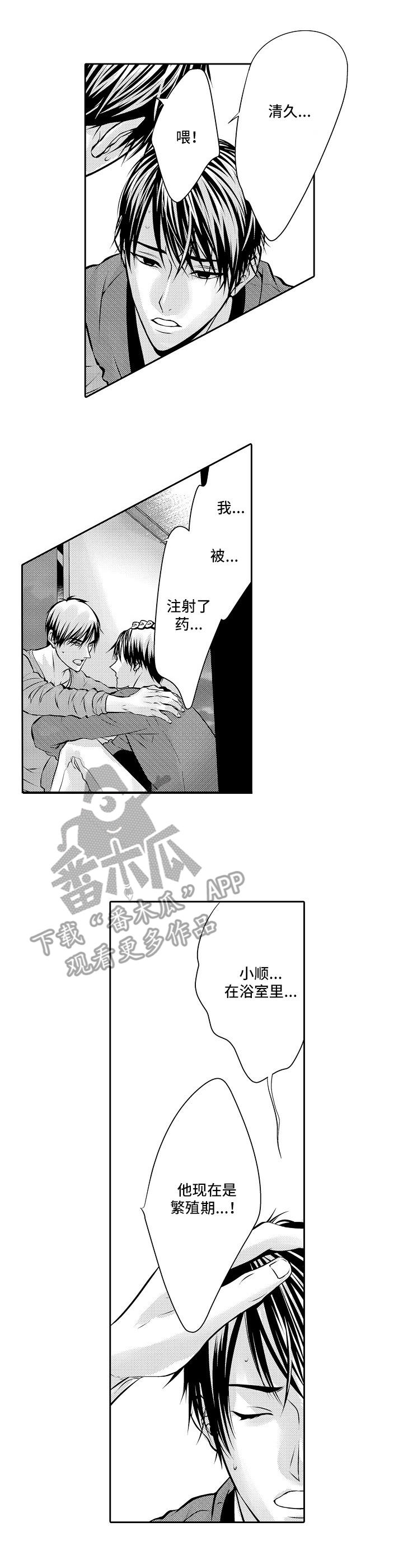 金三角友谊漫画,第6章：药物4图