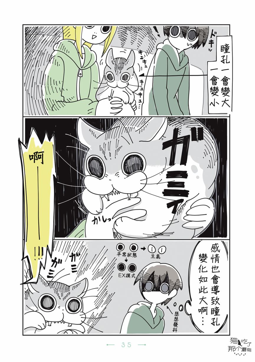 夜夜猫歌漫画,第8话4图