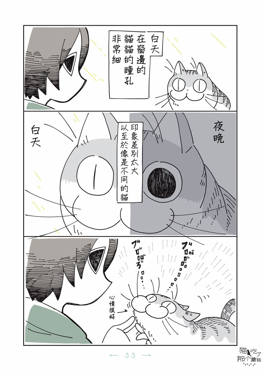 夜夜猫歌漫画,第8话2图