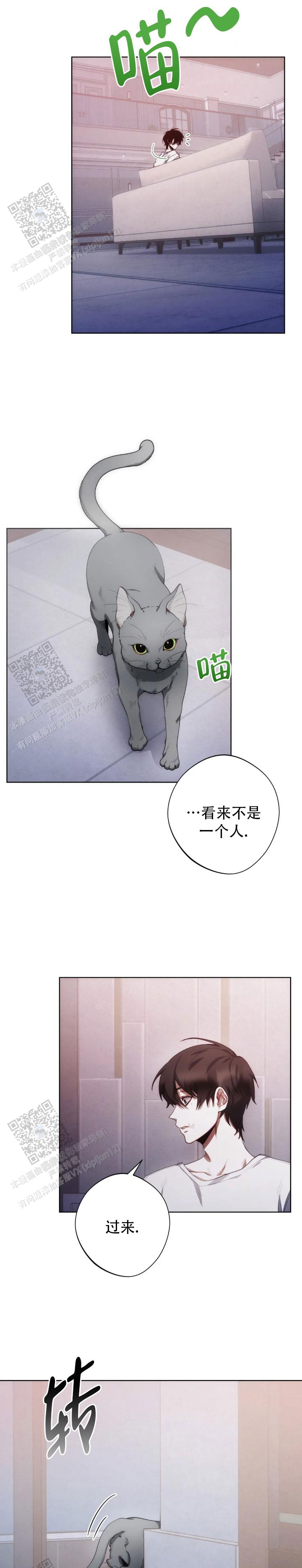 红色公寓下拉式免费阅读漫画,第7话4图