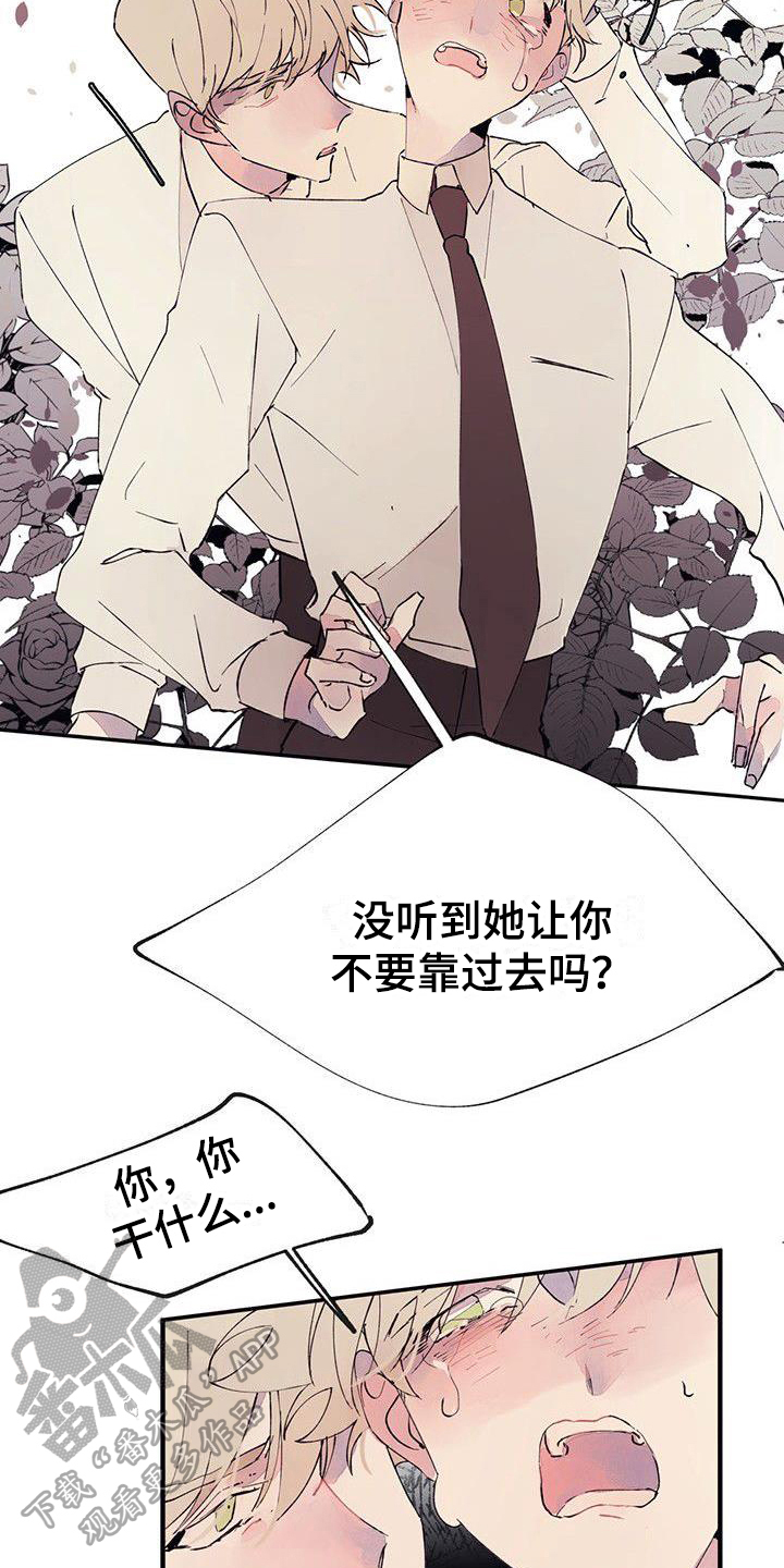 婚恋天魔漫画,第4话5图