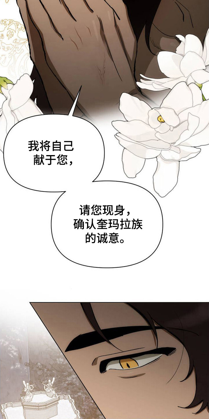 雨林让你幸福漫画,第3话4图