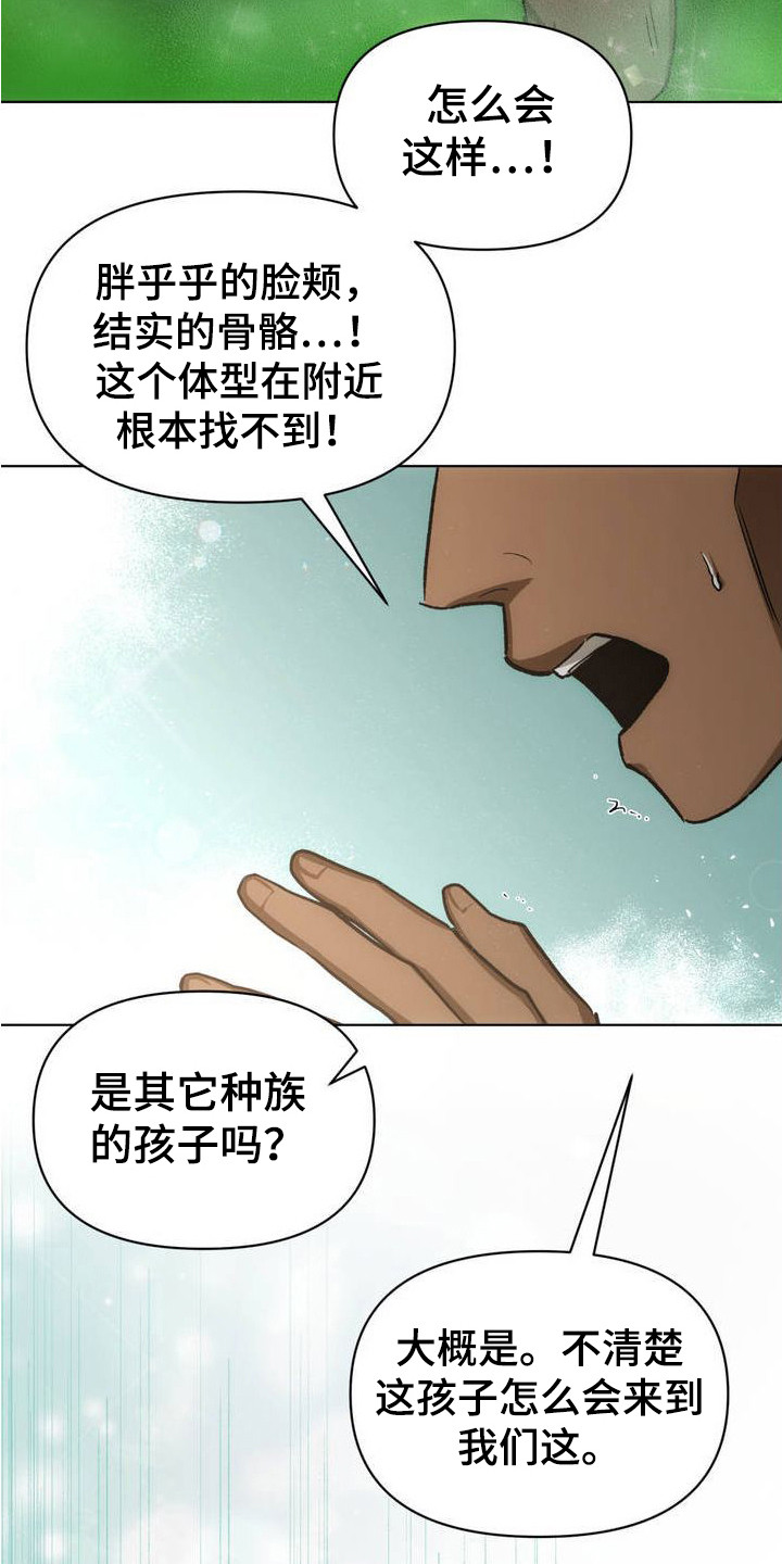 雨林让你幸福免费漫画下拉式漫画,第1话5图