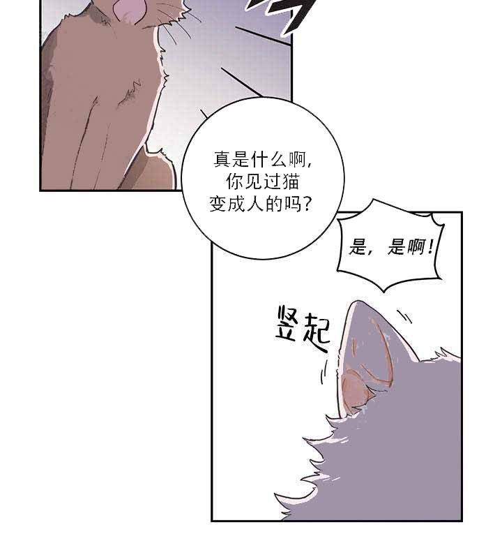 我唯一的猫猫漫画,第1话3图