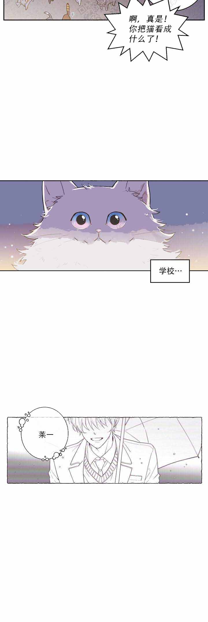 我唯一的猫猫漫画,第1话5图