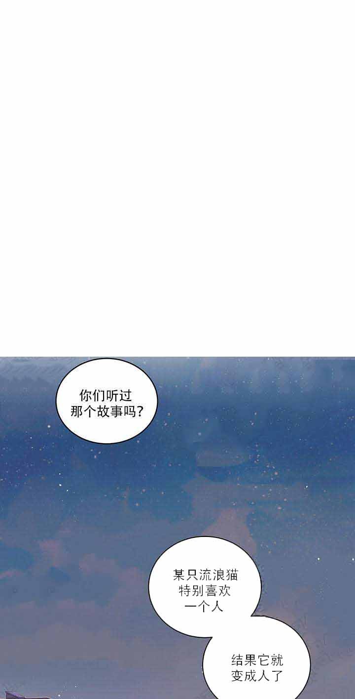 我唯一的猫猫漫画,第1话1图