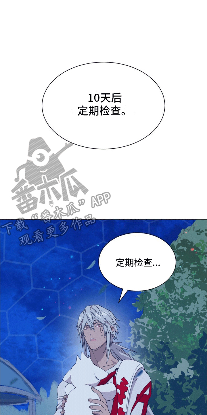 幼儿园伙食费可以支付厨师工资吗漫画,第5话1图