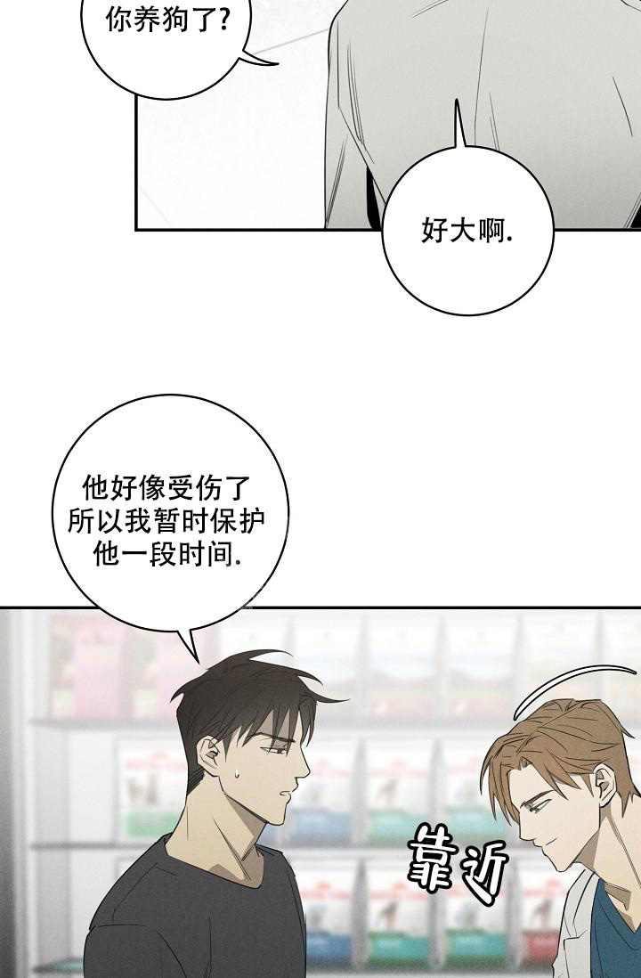 迷失方向漫画,第5话1图