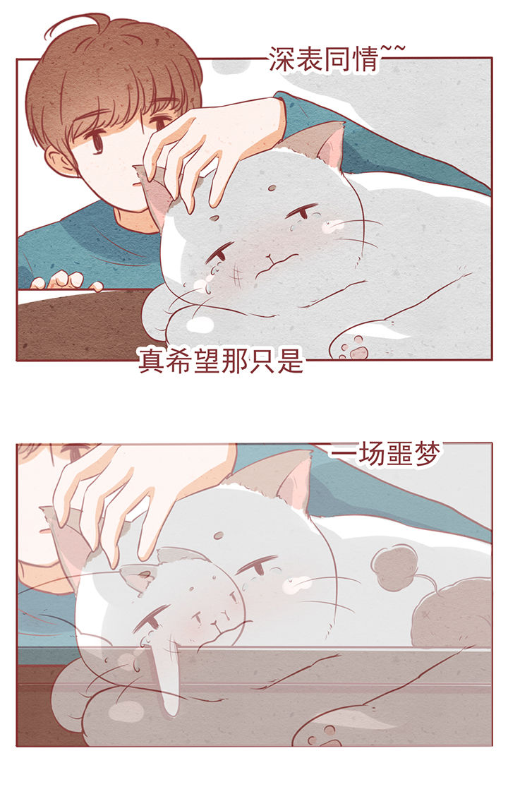 晴天钢琴谱完整版免费漫画,第6章：3图